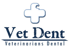 Veterinarians Dental